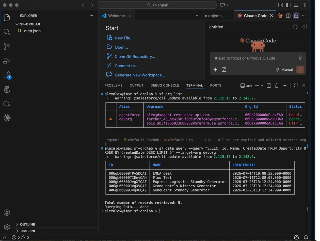 Claude querying the dev org over MCP